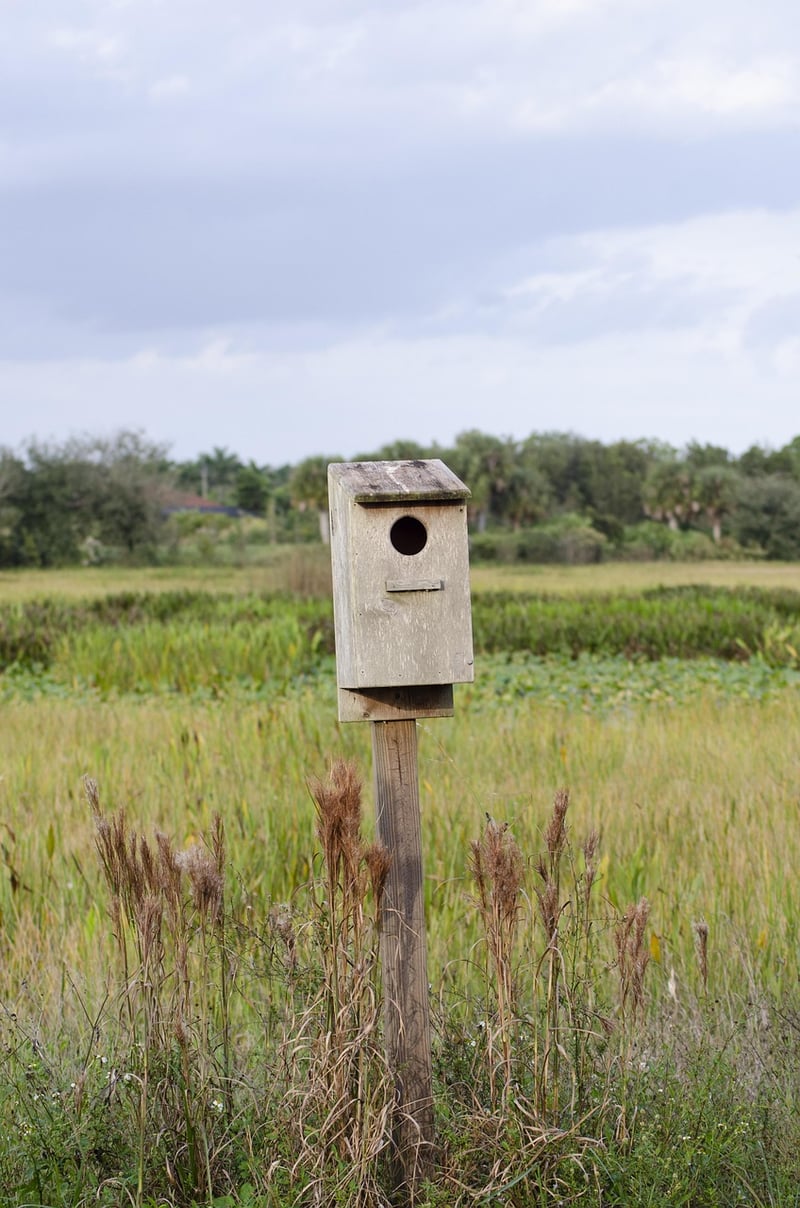 Everglades National Park, Florida